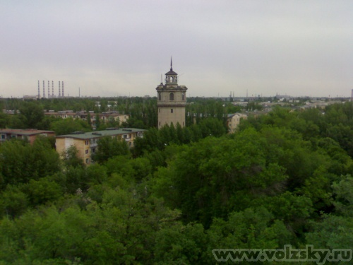 �������: �����