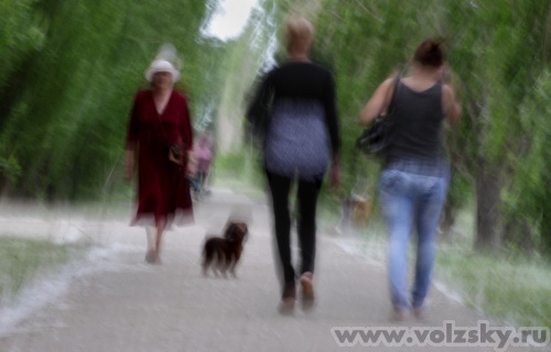 Konstantinovich: ���� � ��������