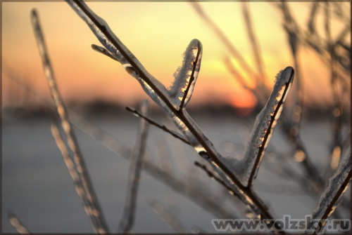 ����: "�� ������"