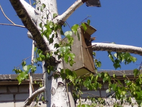 ����: ��� ��������?