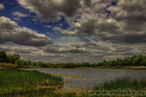 Konstantinovich: ����� �����