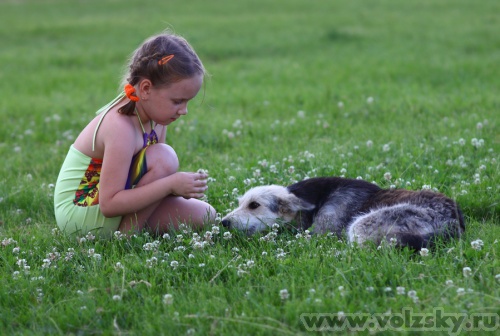 Konstantinovich: � ������