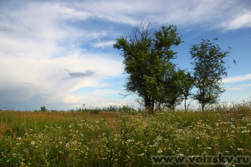 Konstantinovich: ������� ������ � ���������