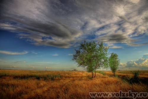 Konstantinovich: �������� �����