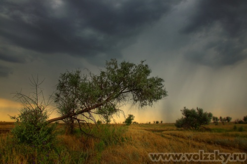 Konstantinovich: ��������