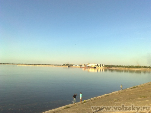 ������: �����