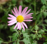 ����: "��������� �����"