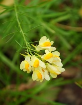 ����: "��������� �����2"