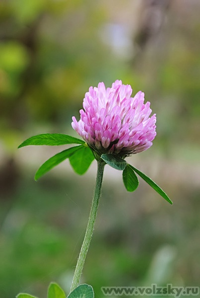 ����: "� ��� ���� �������"