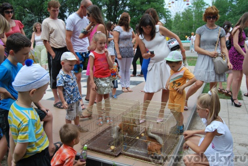 �����: ����� � ����� �����