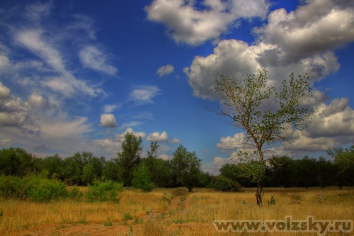 Konstantinovich: ������� ������