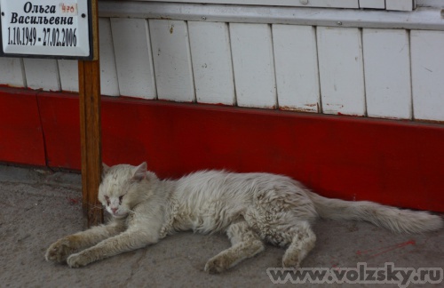 Konstantinovich: ���������