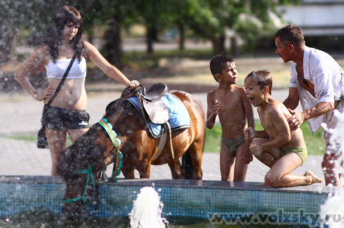 Konstantinovich: � �������