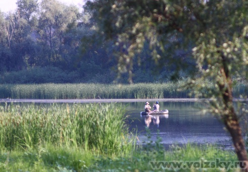 Konstantinovich: ����� �� 14 ����