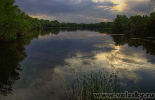 Konstantinovich: ���������