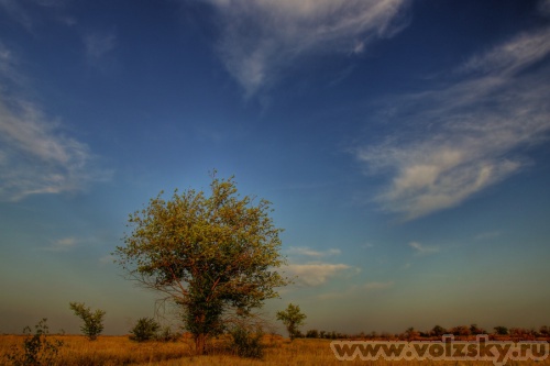 Konstantinovich: ����