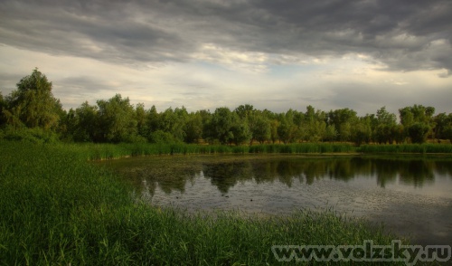 Konstantinovich: �������� �����