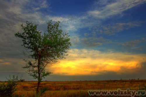 Konstantinovich: ��������