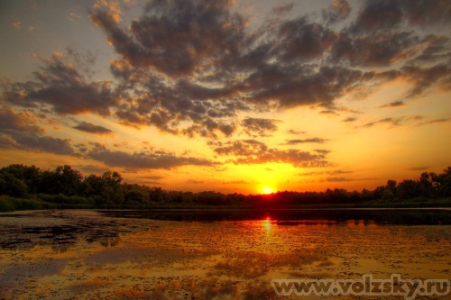 Konstantinovich: �����