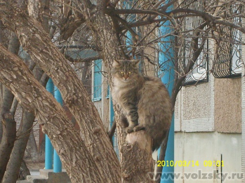 anna: ��������