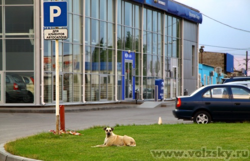 Konstantinovich: ������