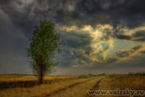 Konstantinovich: ������