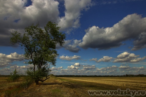 Konstantinovich: ...