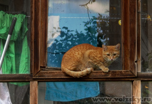 Konstantinovich: ����� �� ������