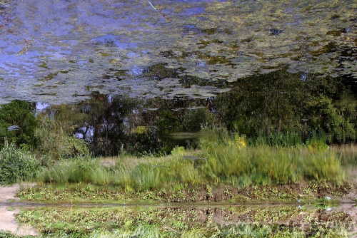 ������� ������: ����������