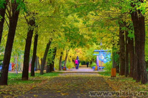 Konstantinovich: ����. ������� 2011