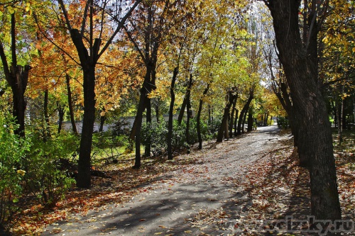 ������� ������: ����