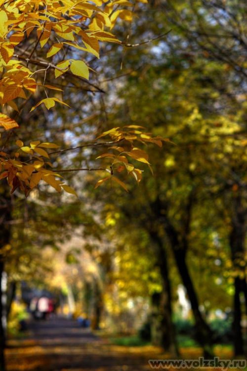 Konstantinovich: ��������