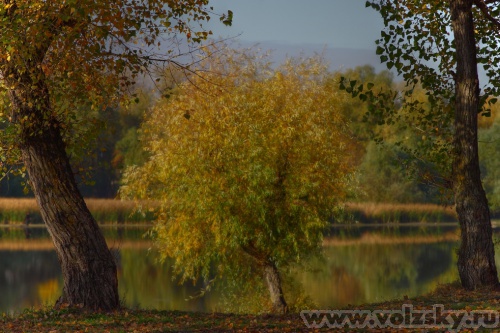 Konstantinovich: ��� ������