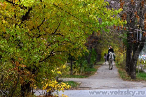 Konstantinovich: � ������ �����