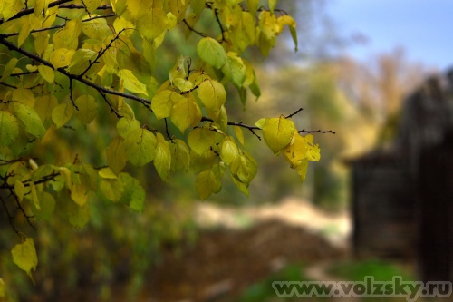 Konstantinovich: ����� ������