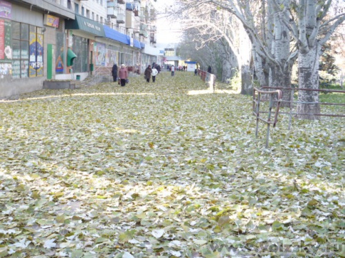 ������: ����� ���������...