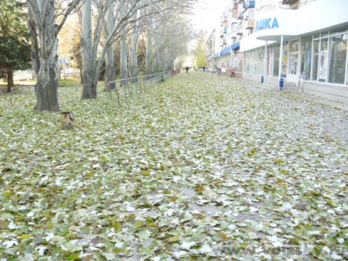 ������: ����� ���������2