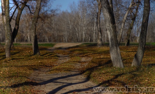 Konstantinovich: ������ 2011