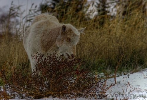 Konstantinovich: � ������ ������ 09.11.11