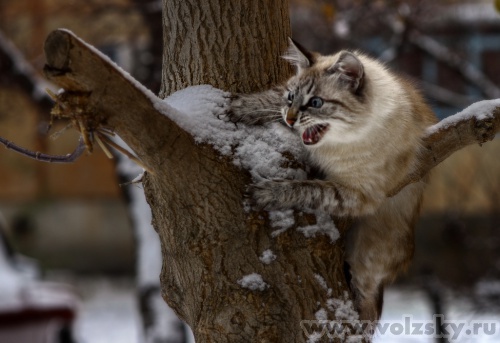 Konstantinovich: � ������ ������ 09.11.11