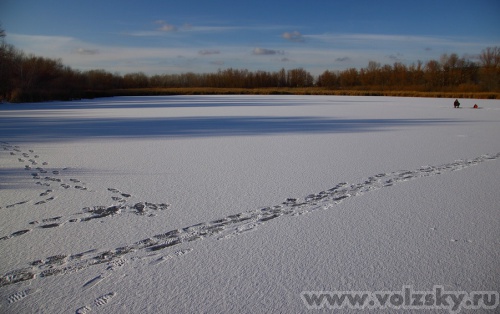 Konstantinovich: ������ 2011