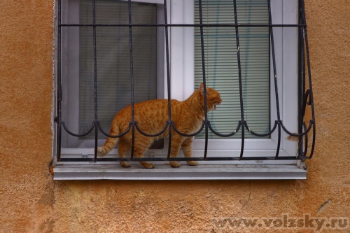 Konstantinovich: ������� ��������