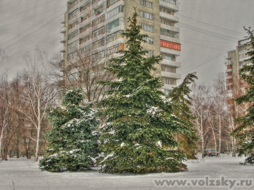 ���������: ���