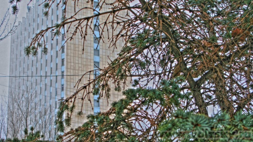 ���������: ��������� ������