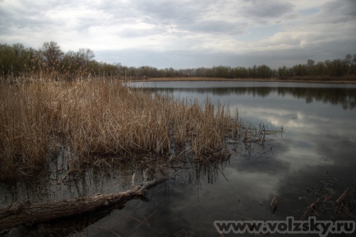 Konstantinovich: ������