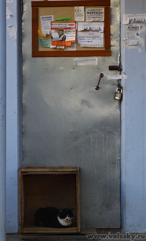 Konstantinovich: ***