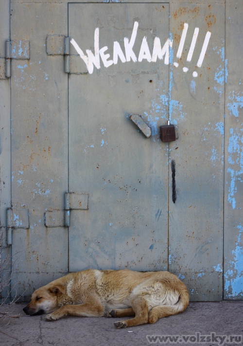 Konstantinovich: ***