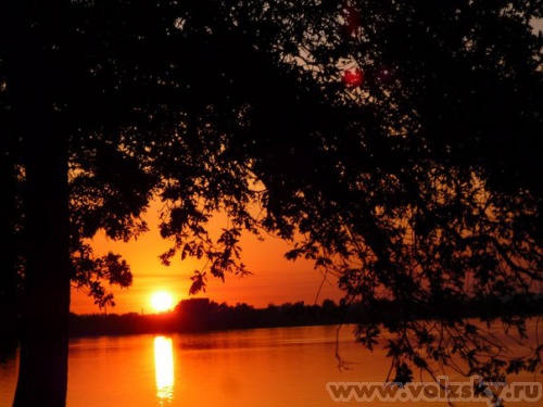 �������: ����� �� ������� ������