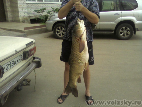 ����: ����� ����(14 ��) - �� �������� � �����