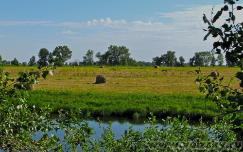 ������� ������: �������